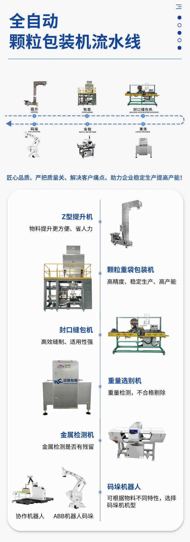 颗粒重袋包装流水线详情图片 (5).jpg